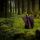 Inglaterra mágica: Glastonbury y los bosques que inspiraron El Señor de los Anillos